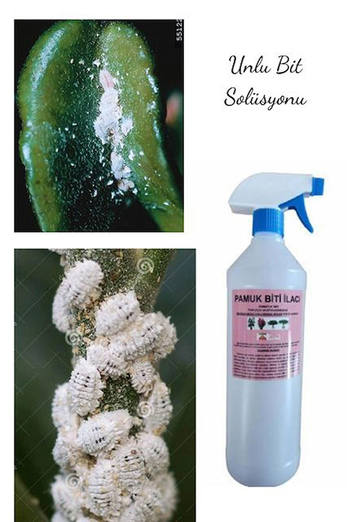 ÇİÇEK VE BİTKİLER İÇİN UNLU PAMUK BİTİ SOLÜSYONU 1000 ML 