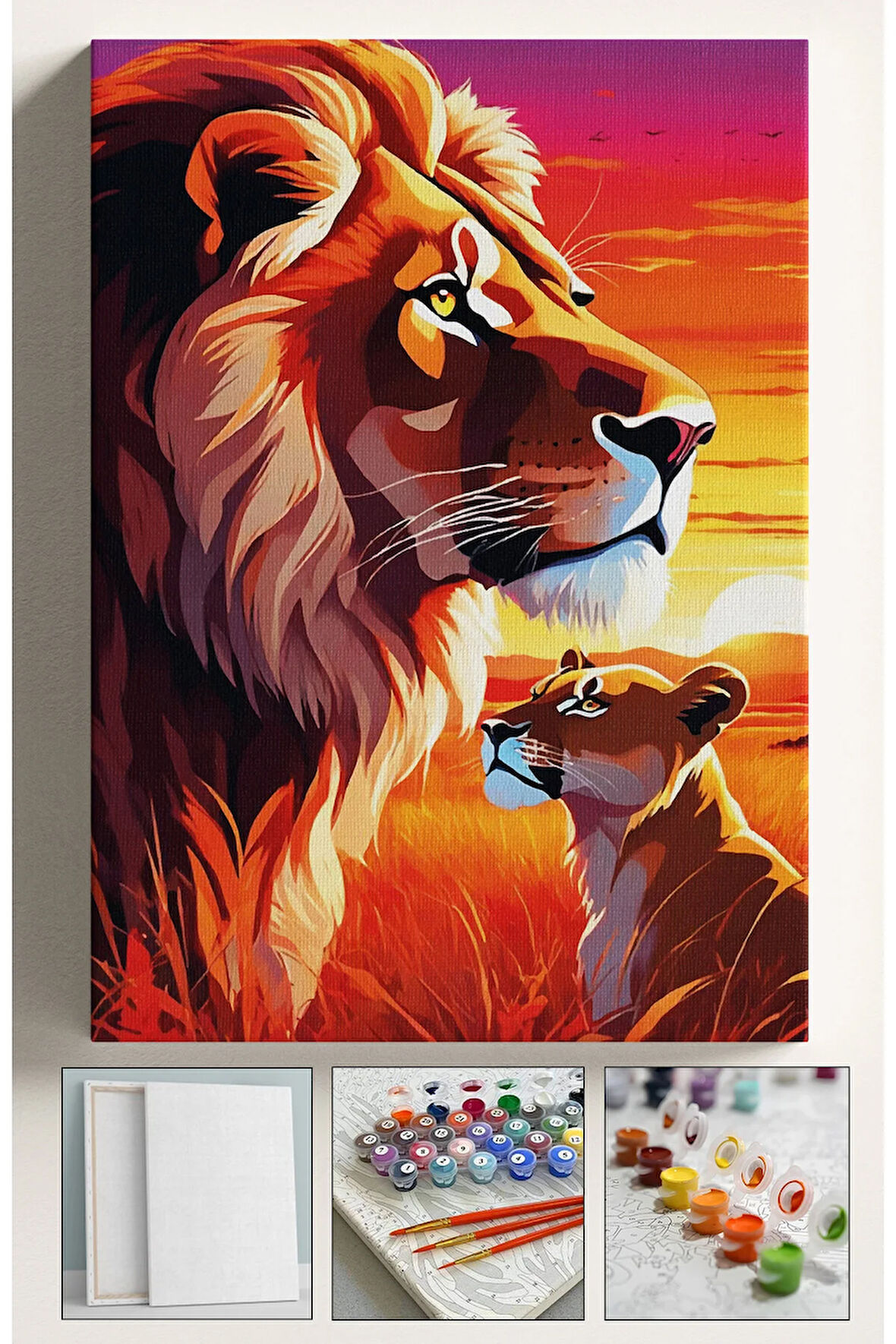 Sayılarla Boyama Hobi Seti Çerçeveli Numaralı Tuval Fırça Boya Dahil Kasnaklı ASLAN OĞUL 40x50 Cm