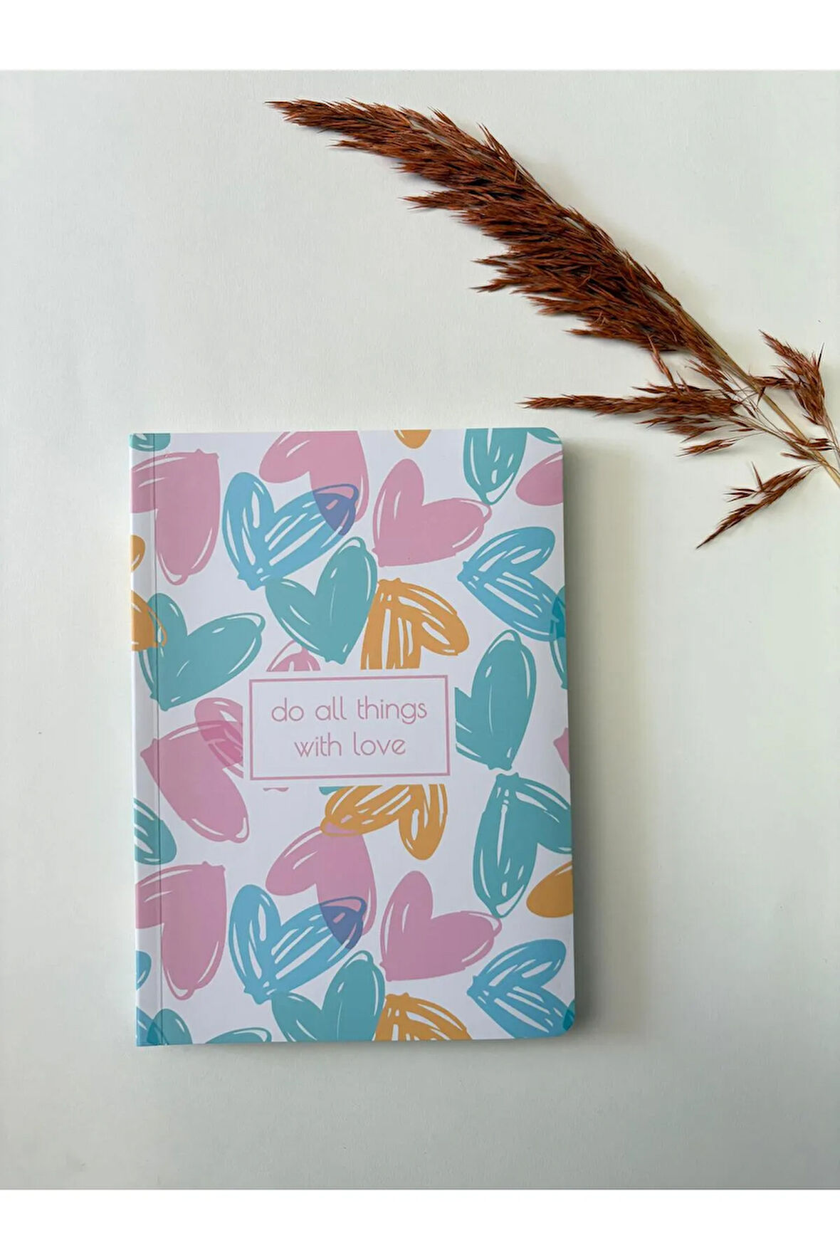Atakids Lizy Karton Kapak Renkli Sayfalı Çizgili Defter – 128 Sayfa / 21x15 cm