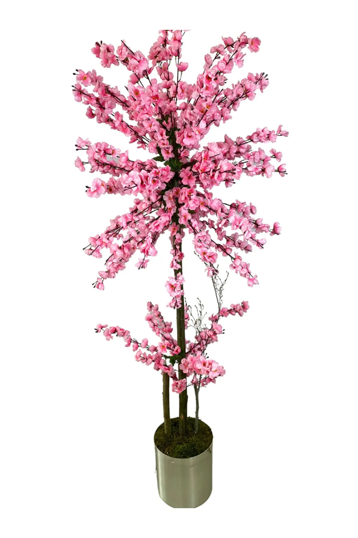 Atom Pembe Bahar Dalı 180 Cm 25x25 Metal Saksı
