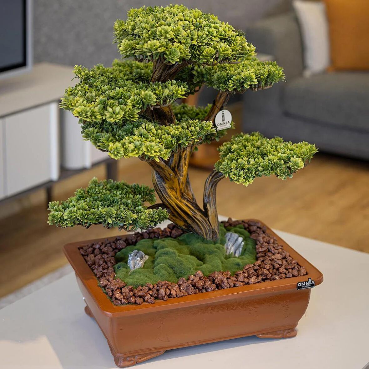 Atlas Bonsai-5 Masaüstü Kullanıma Uygun Doğal Ağaç Gövdeli Yapay Bonsai Ağacı - 50x60 Cm