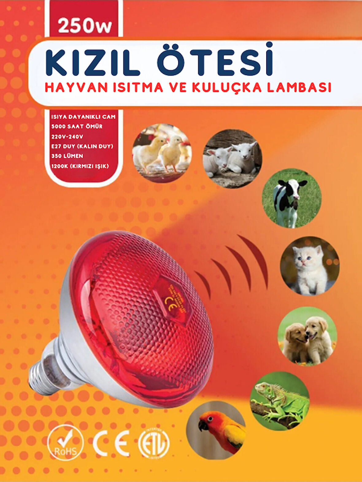 Avarson 250W Kızılötesi (infrared) Isıtıcılı Hayvan Isıtma ve Kuluçka Lambası (Kırmızı Işık) E27 (Kalın Duy)