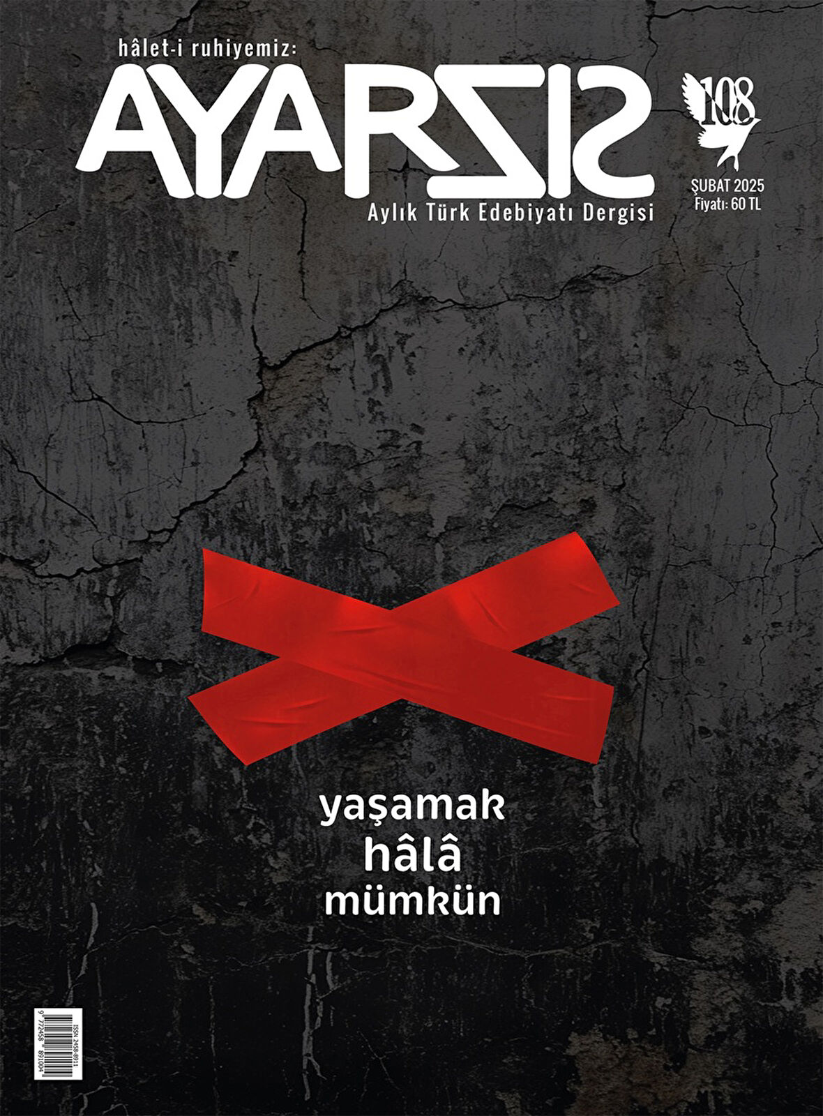Ayarsız Dergi 108.Sayı Şubat 2025