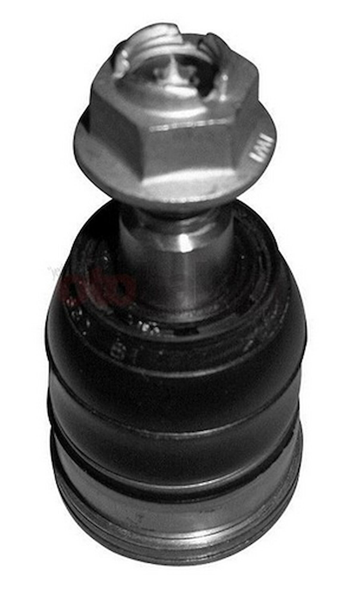 AYD 10091 Rotil Colt 03 Alt MN186217