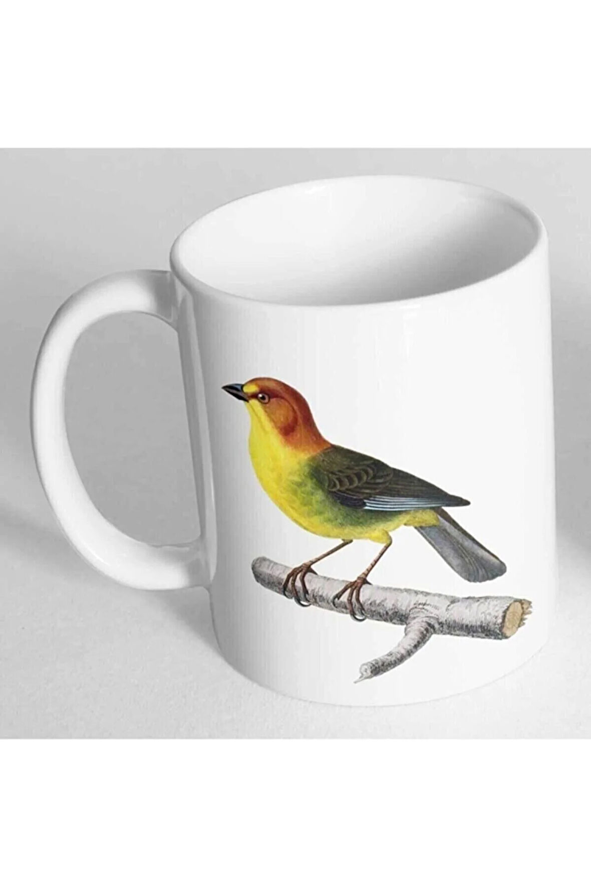 Fulvous Headed Brush Finch Baskılı Kupa Bardak