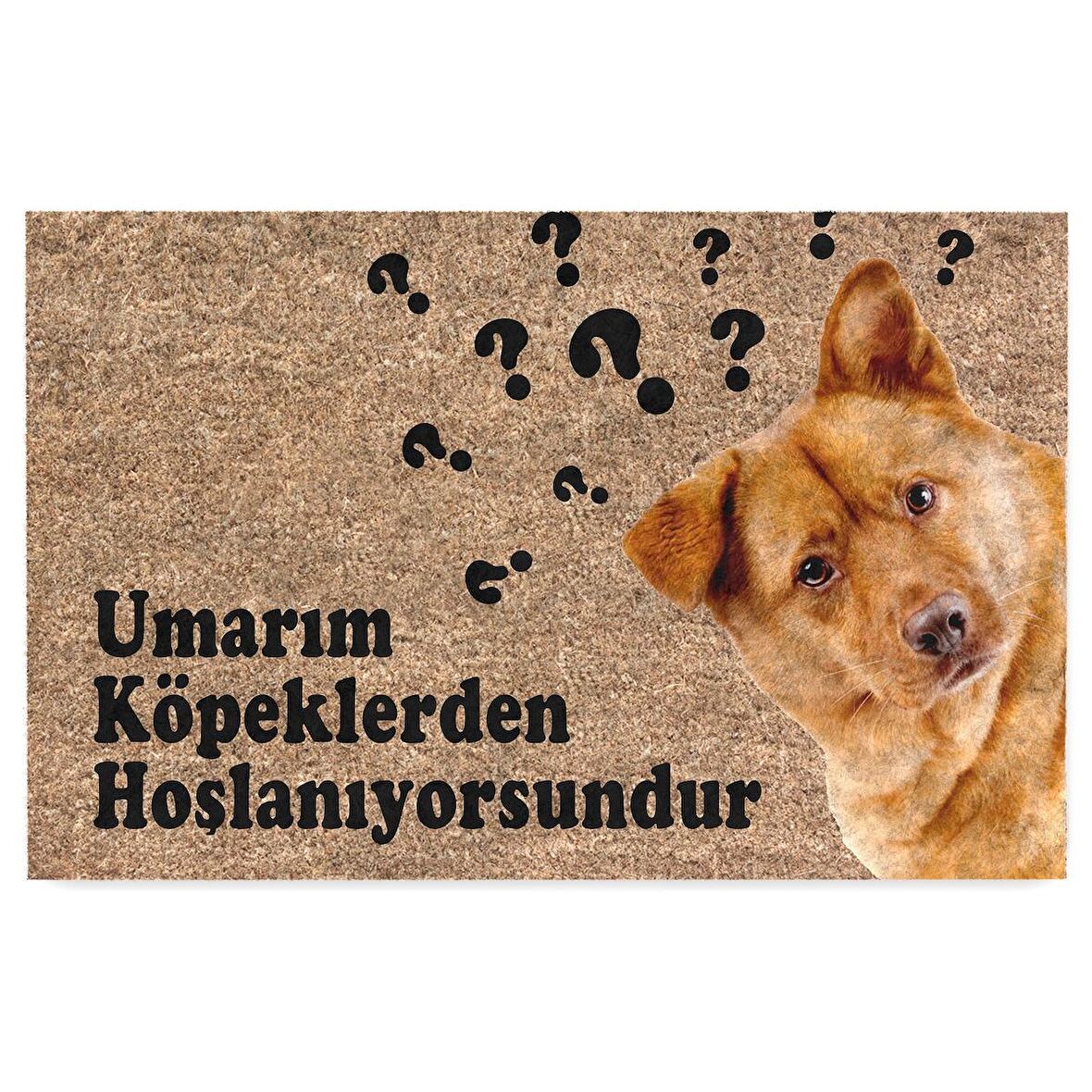 Monnhein Kedi Köpek Komik Tasarımlı Dekoratif Kapı önü Paspas, Dış Mekan/Ev İçi/Banyo/Mutfak/Yatak Odası/Giriş Paspasları