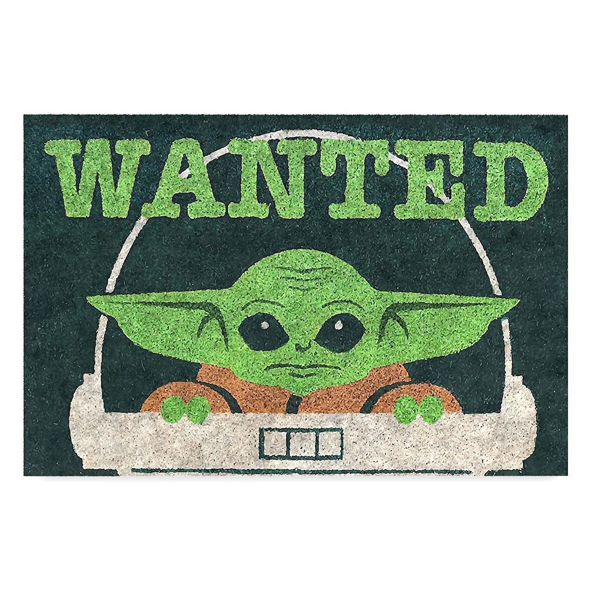 Monnhein Kedi Köpek Komik Tasarımlı Dekoratif Kapı önü Paspas, Dış Mekan/Ev İçi/Banyo/Mutfak/Yatak Odası/Giriş Paspasları