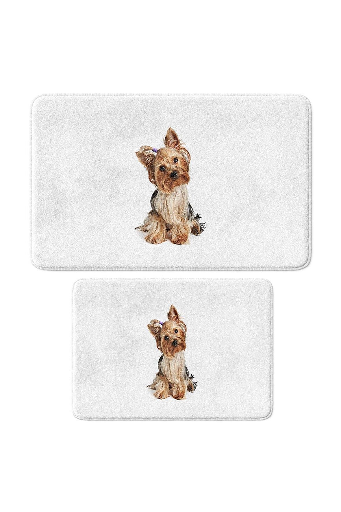 Sevimli Tasarımlı Mikrofiber 2'li Takım Banyo Paspası, Kaymaz Taban, Makinede Yıkanabilir (40x60_50x80)