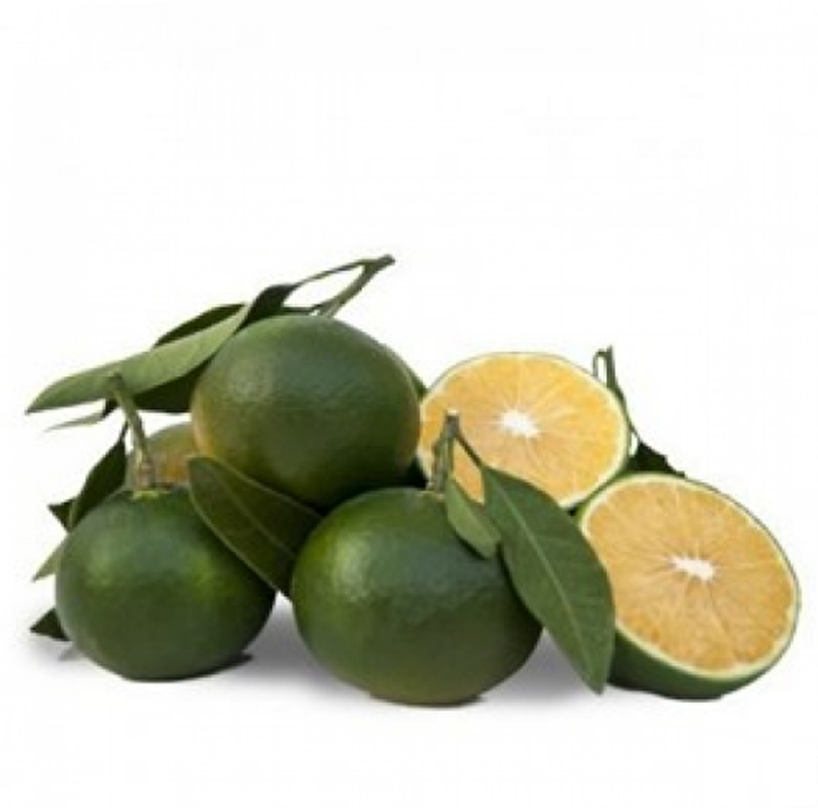 Okitsu Mandalina 9 kg