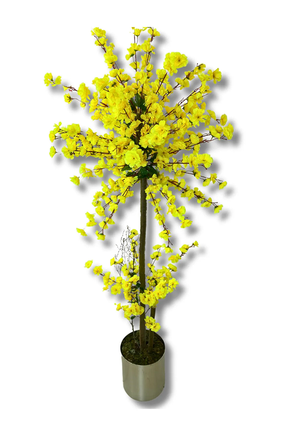 Atom Sarı Bahar Dalı 200 Cm 30x30 Metal Saksı