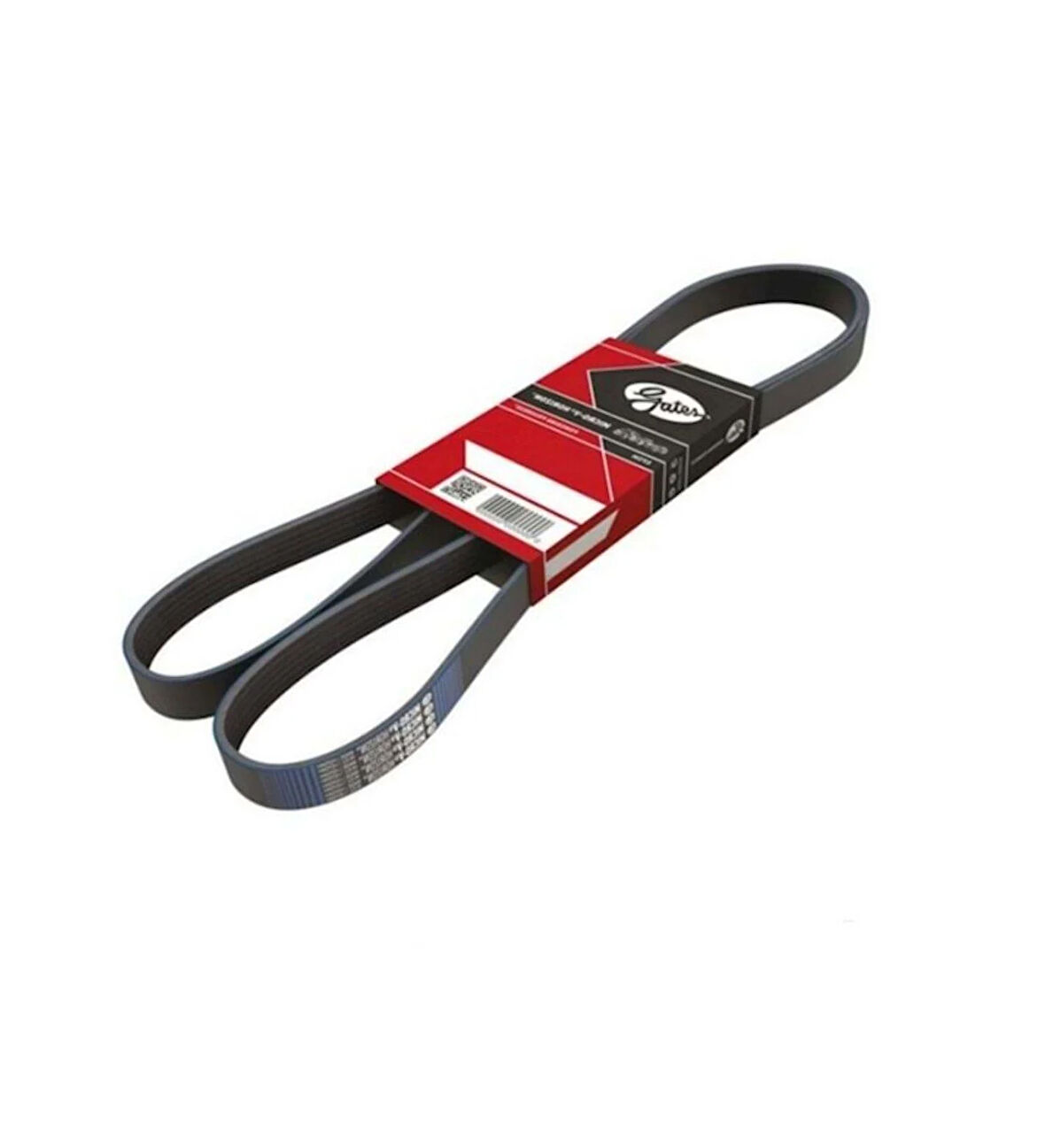 Fiat Tempra Ducato 1994-2002 V Kayışı