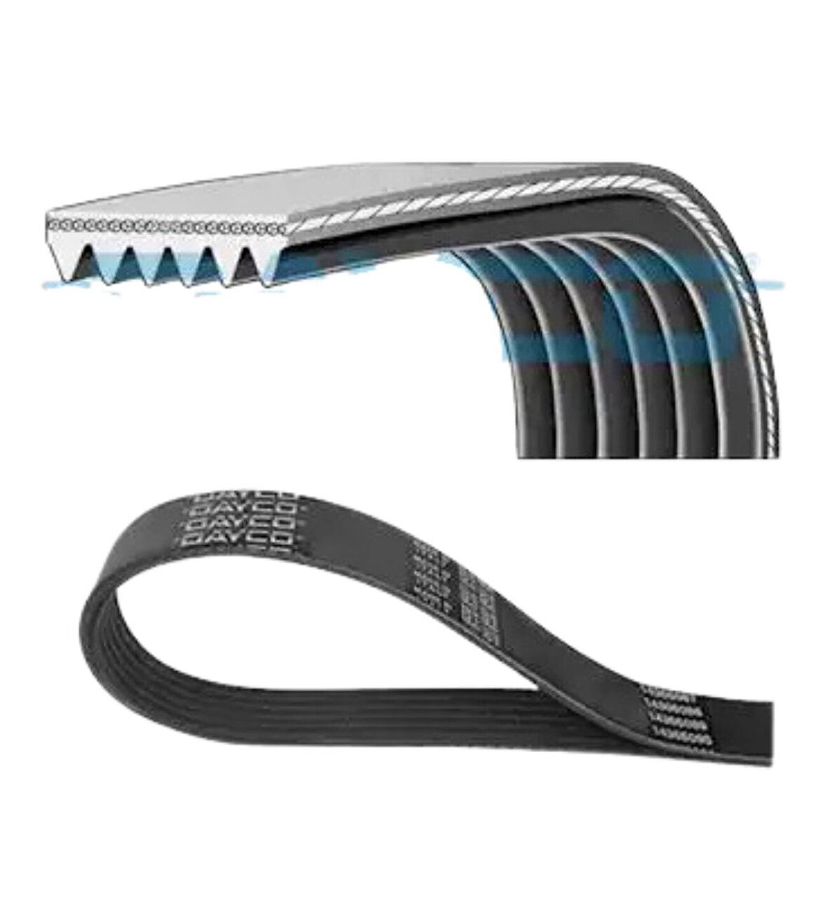 Audi A6 Volkswagen Bora Golf 4 Skoda Octavia 1 1.4 1.6 1996 Sonrası V Kayışı