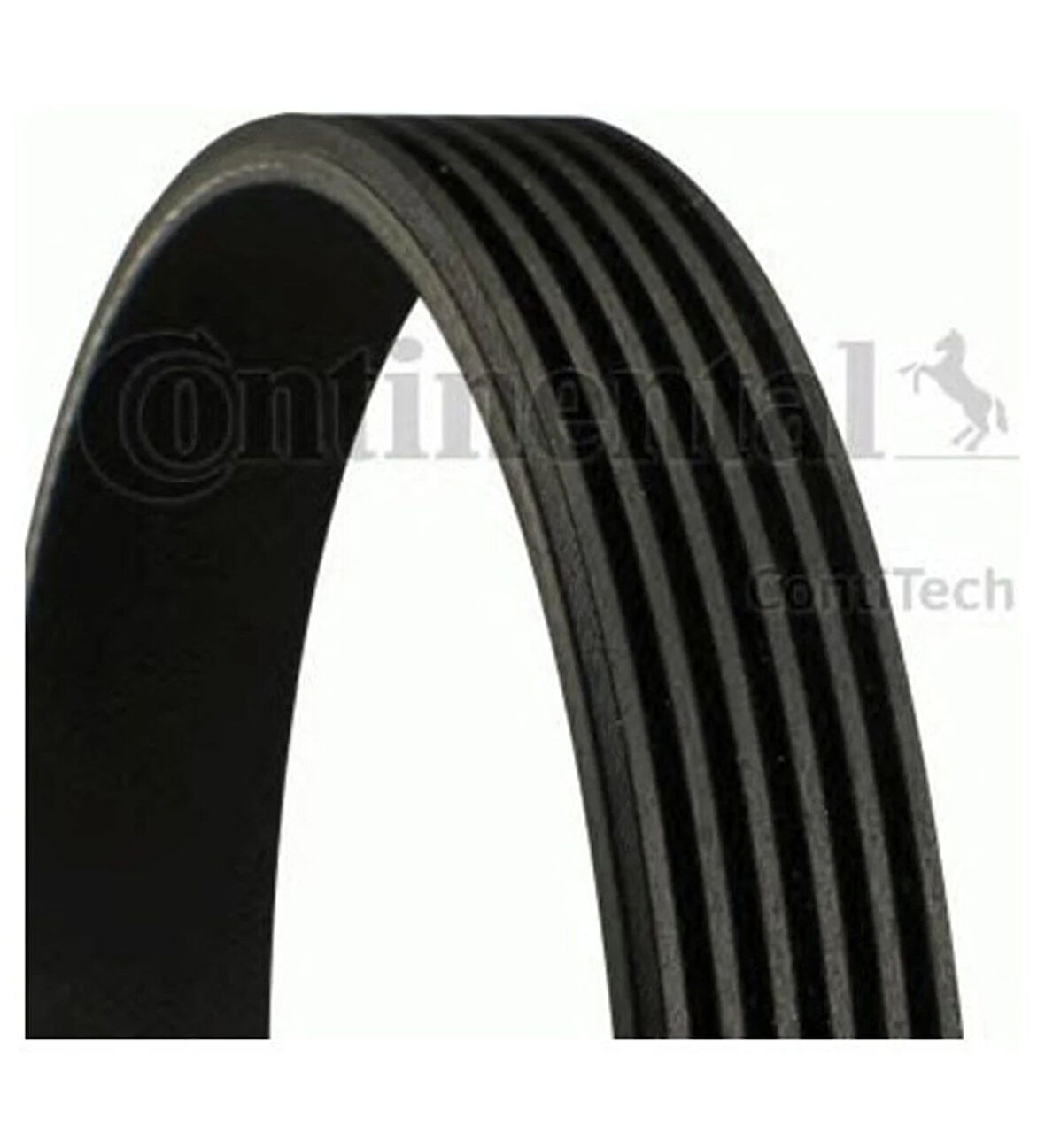 Audi A3 Volkswagen Golf 5 Jetta Skoda Octavia Superb 1.4 TSI 2005 Sonrası V Kayışı