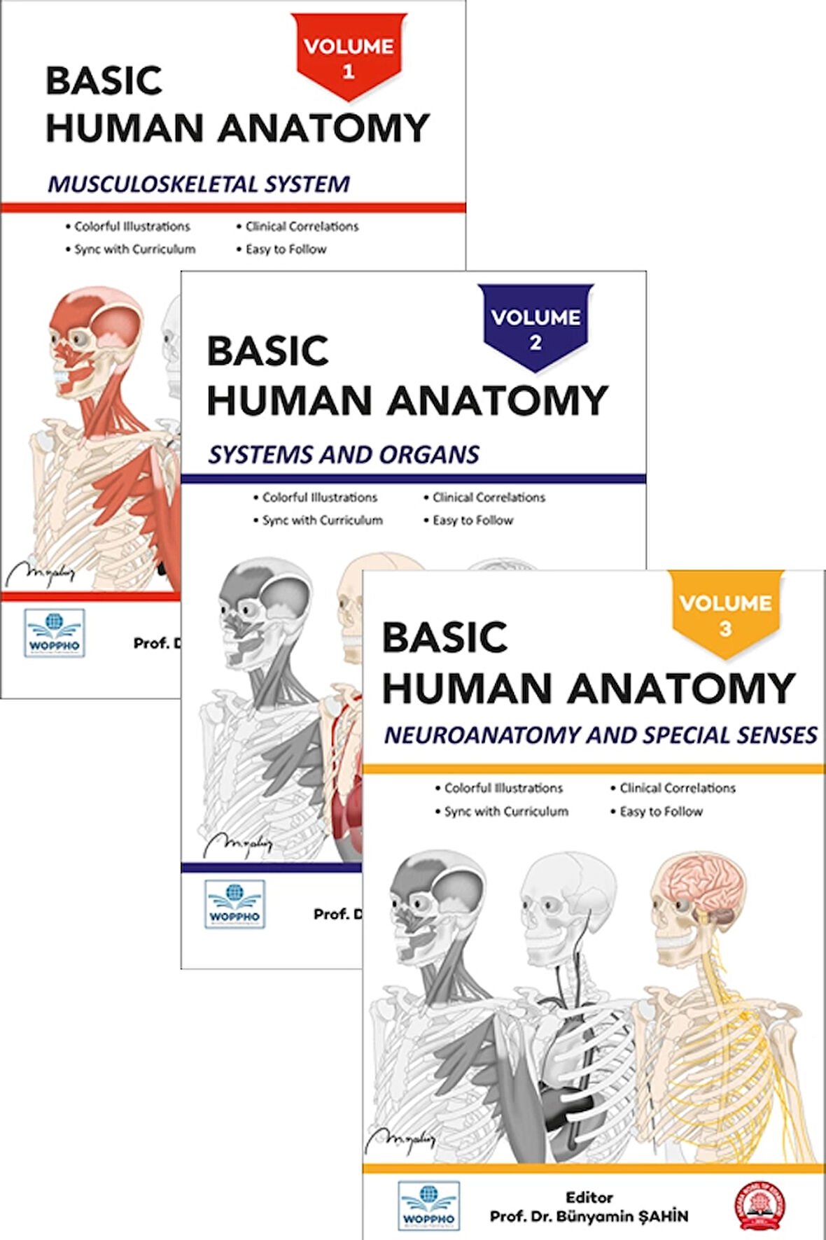 Basic Human Anatomy SET 3LÜ
