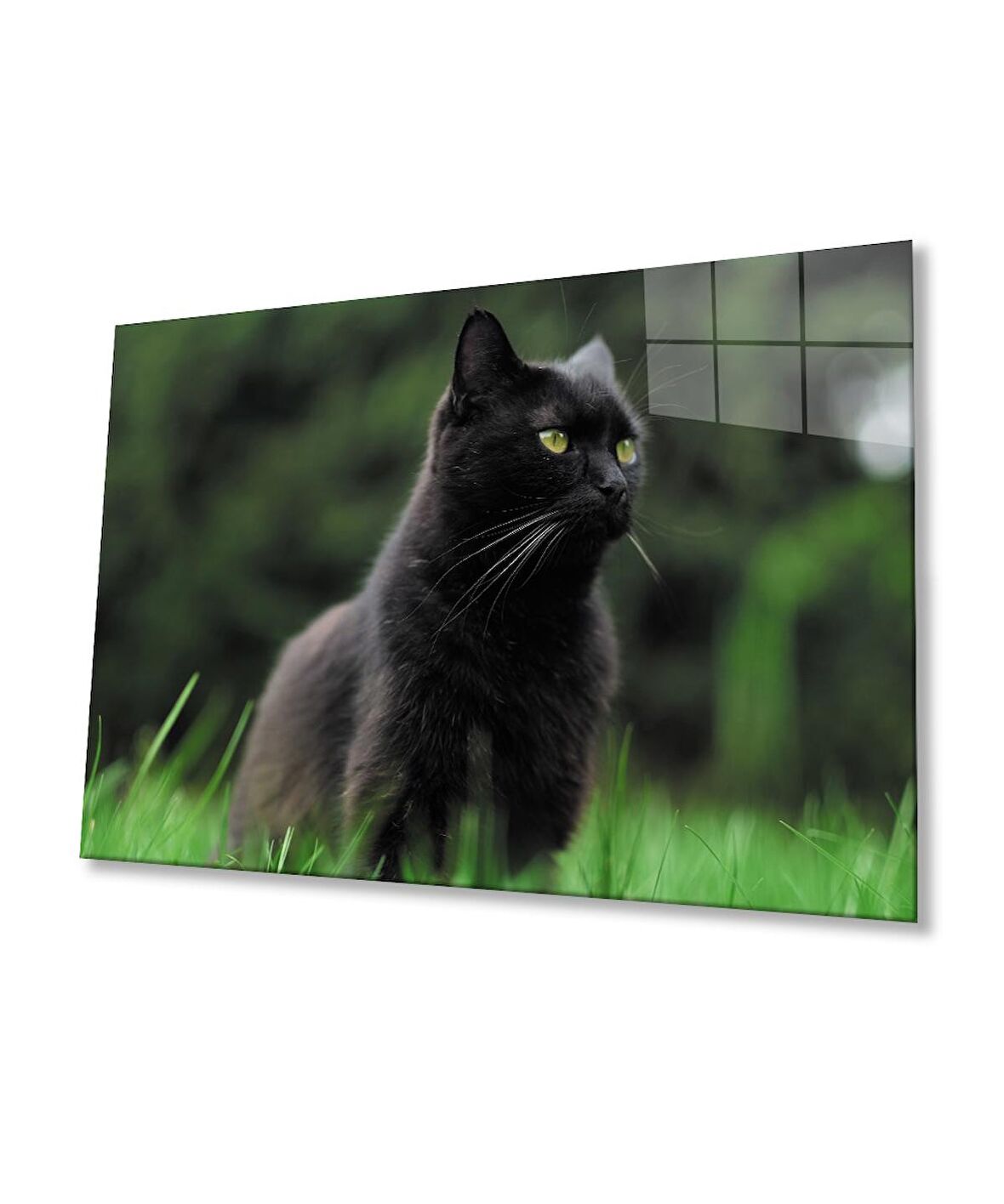 Kedi 2 Cam Tablo