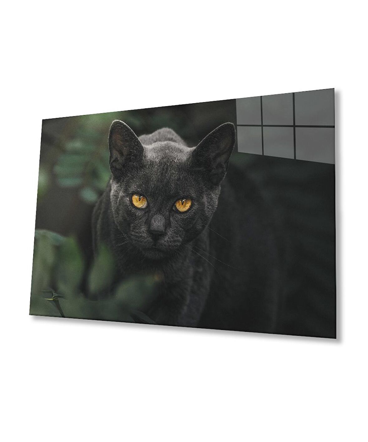 Siyah Kedi Cam Tablo