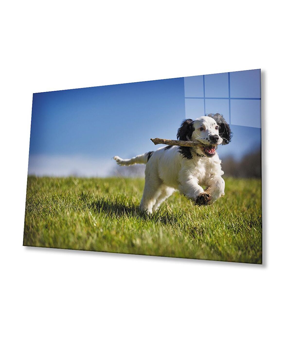 Köpek 3 Cam Tablo