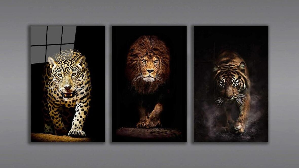 Aslan,Kaplan,Jaguar 3 lü Set  Cam Tablo