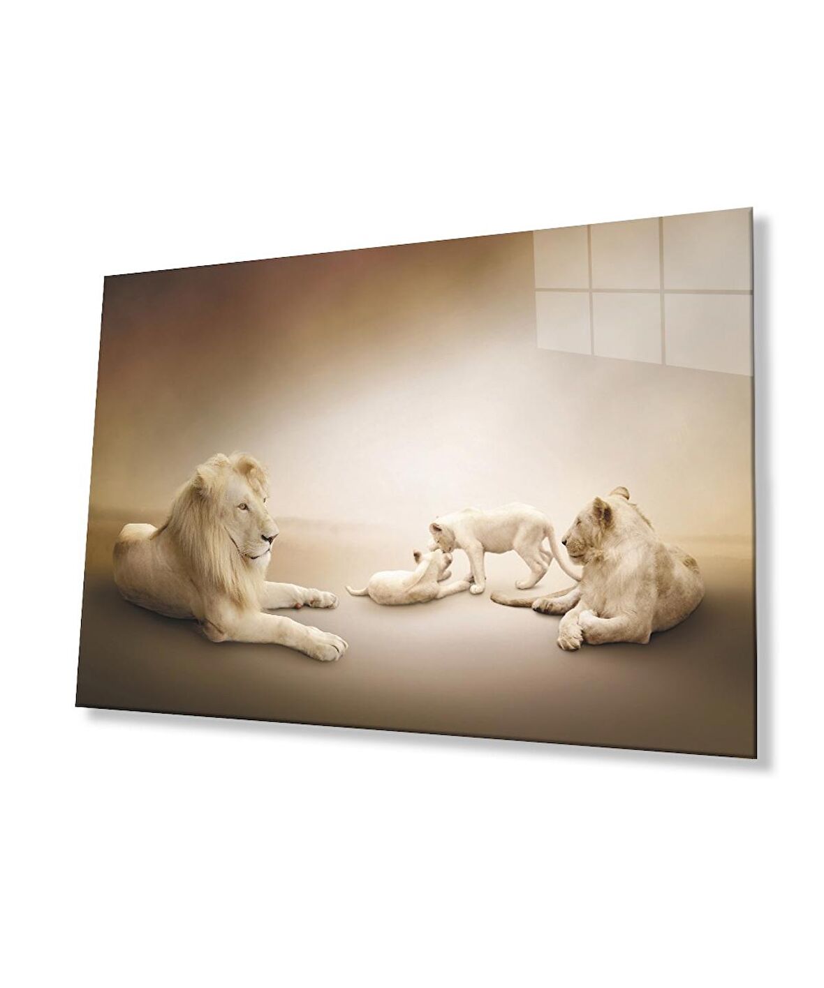  Aslan Hayvan Cam Tablo 4mm Dayanıklı Temperli Cam