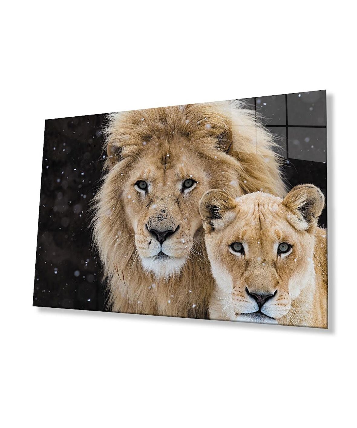  Aslan Hayvan Cam Tablo 4mm Dayanıklı Temperli Cam