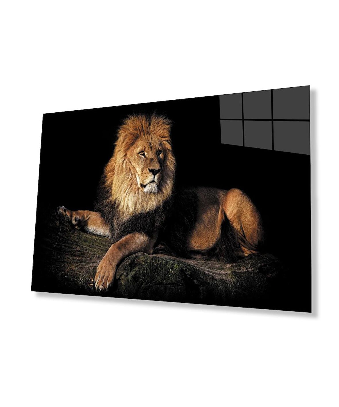  Aslan Hayvan Cam Tablo 4mm Dayanıklı Temperli Cam