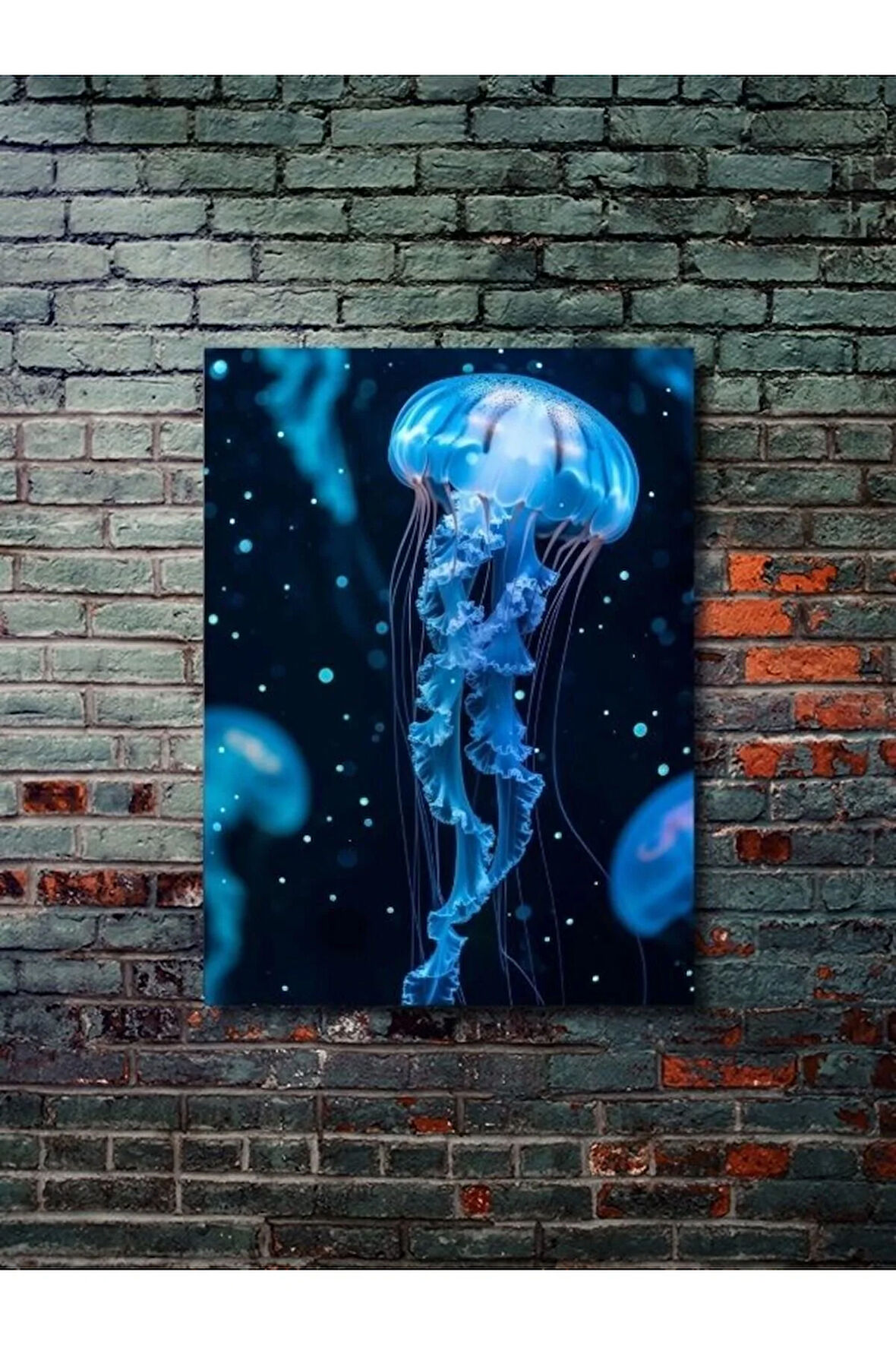 Etkileyici Denizanası, Hayvanlar Alemi Posteri, Özel Tasarım Kağıt Poster, Duvar Sanatı