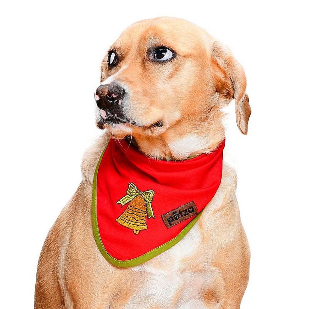 Köpek Bandana / Navin