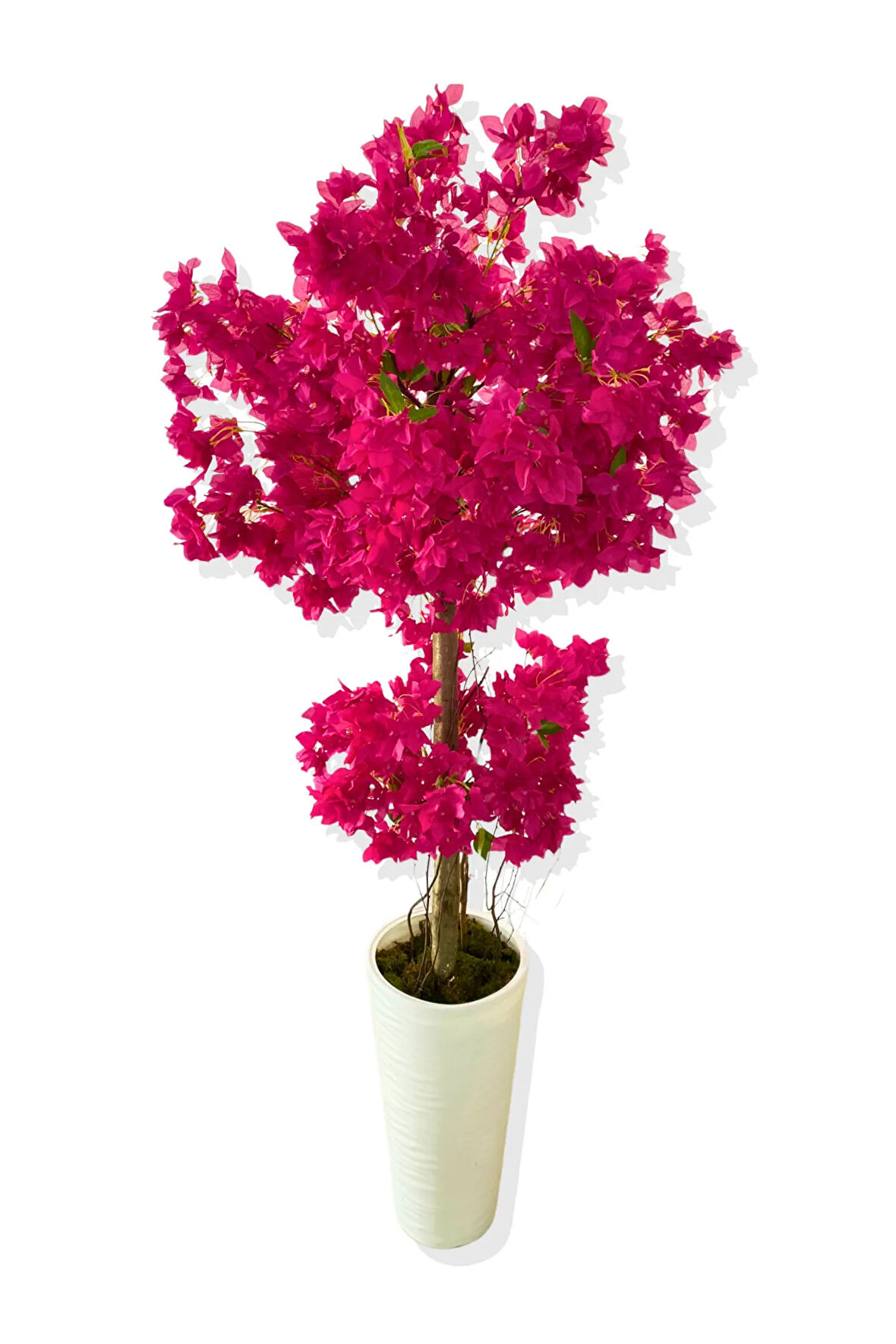 YAPAY AĞAÇ FUŞYA BEGONVİL 190 CM 56X30X20 BEYAZ KUMSAL SAKSI