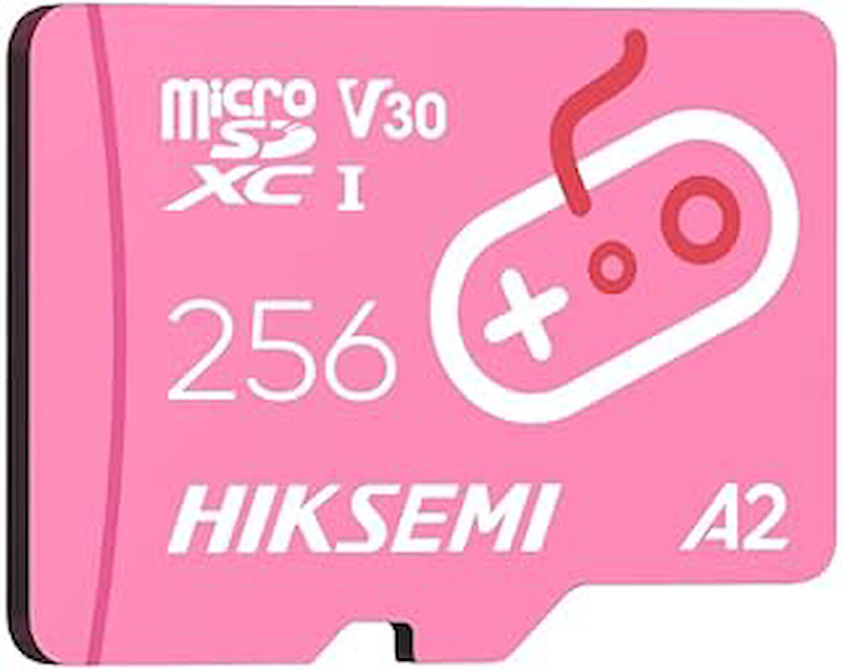 HIKSEMI TF-G2 City Fun Micro SD Kart, 256 GB