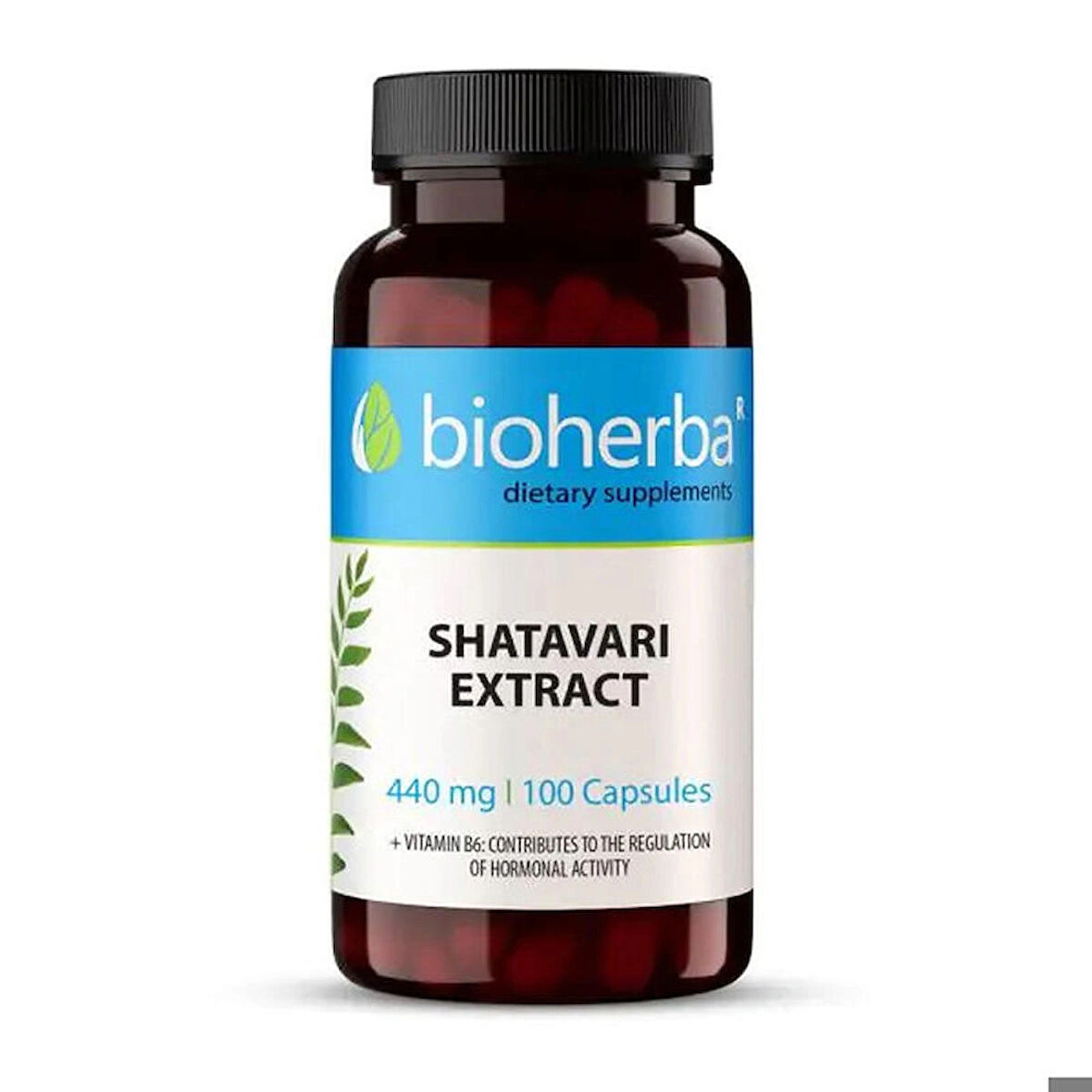 BİOHERBA SHATAVARI Hint Kuşkonmazı şatavari asparagusracemosus EXTRACT 440 mg 100 capsules