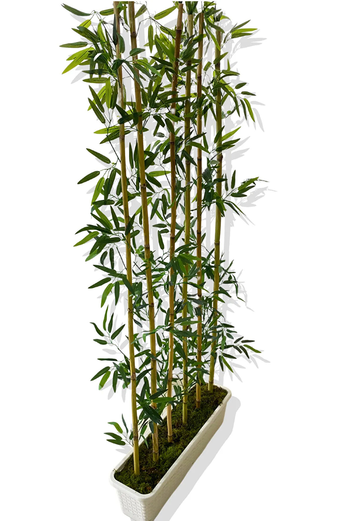 BAMBU SEPERATÖR 175 CM 6 ADET BAMBU 72 CM BEYAZ SAKSI