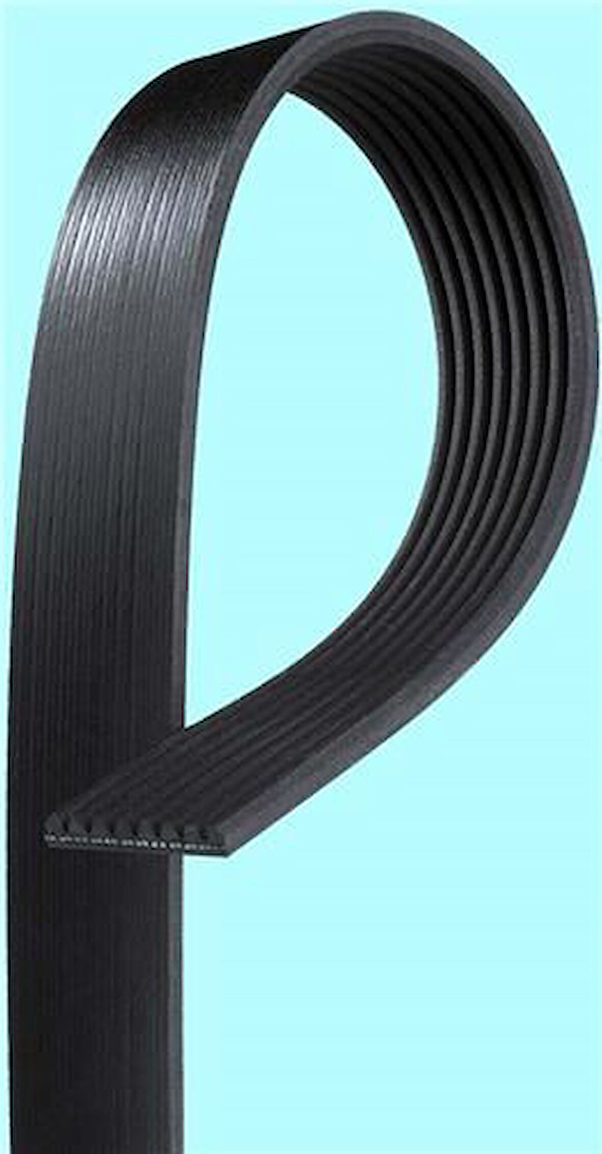 Bando 8PK1400 Kanallı Kayış DAF 45 91-00 F1000 F50 F600 F800 Leyland Daf 0067690