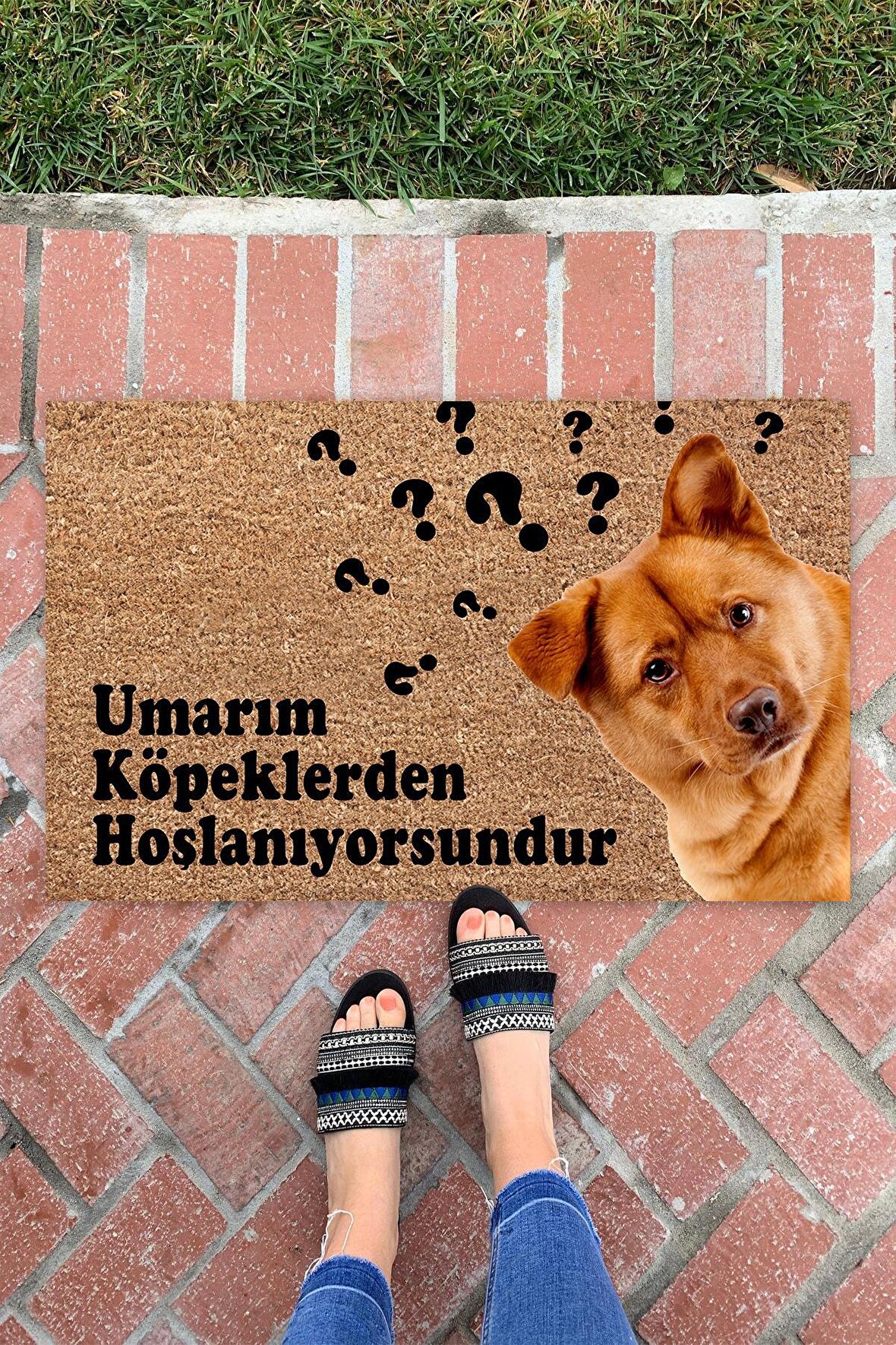 Umarım Köpekler İç ve Dış Mekan Dekoratif Çok Amaçlı Kapı Önü Paspası