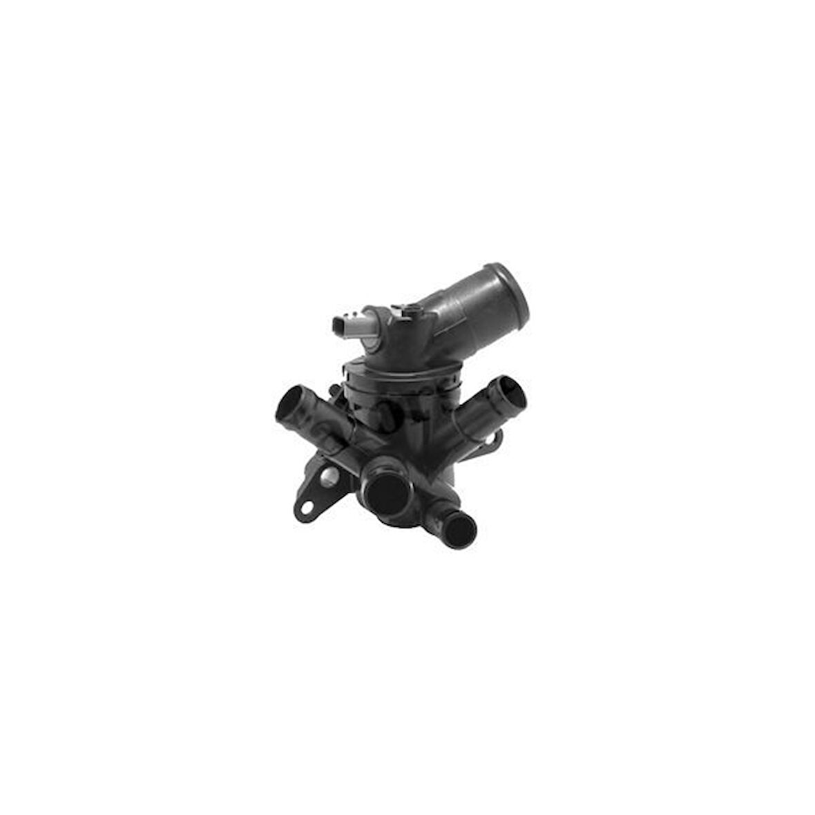 Nissan Qashqai Termostat (2013-2021) 1.2 DIG-T 110617089R