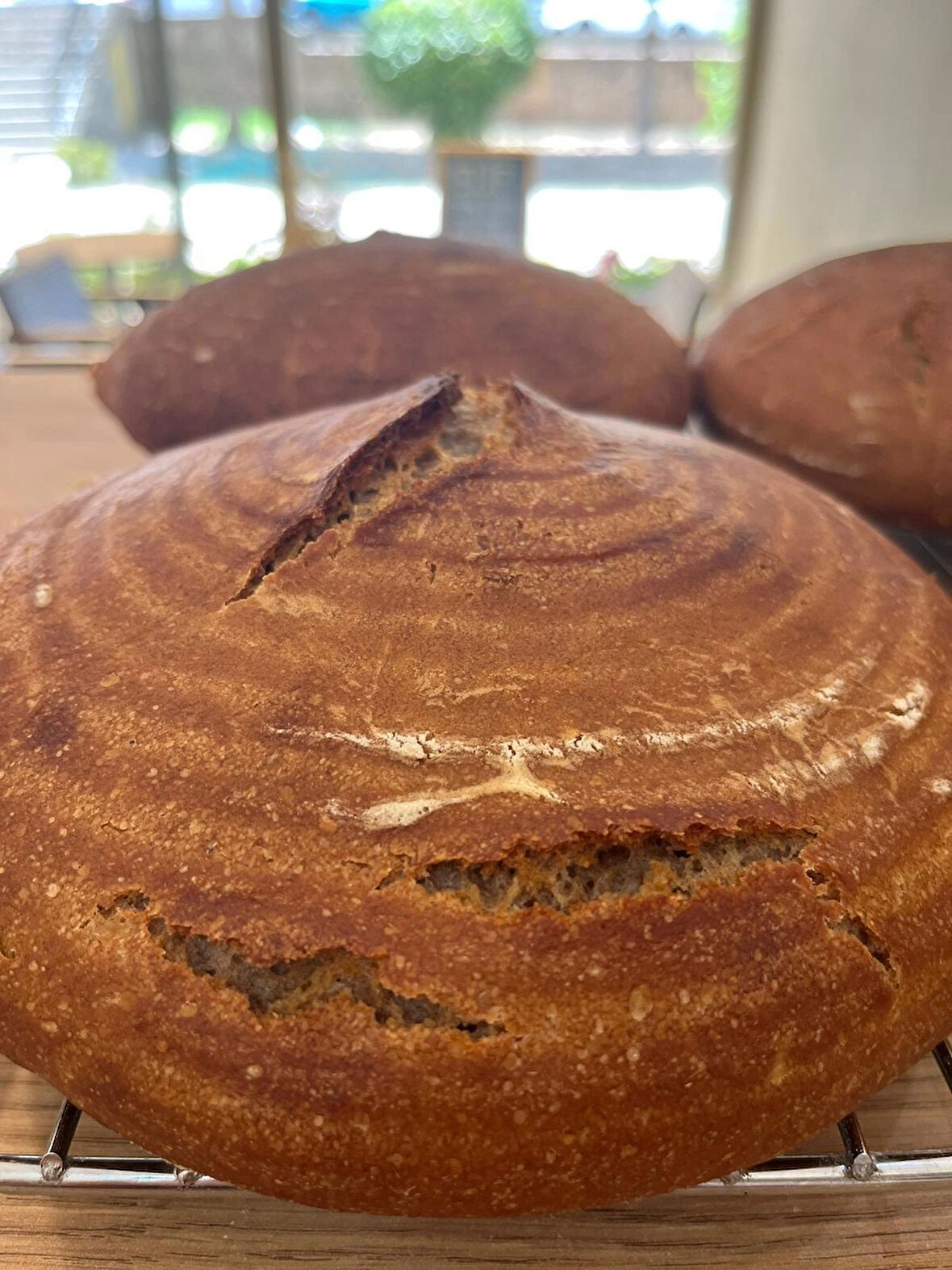 EKŞİ MAYALI ALMAN ÇİFTÇİ ÇAVDAR EKMEĞİ