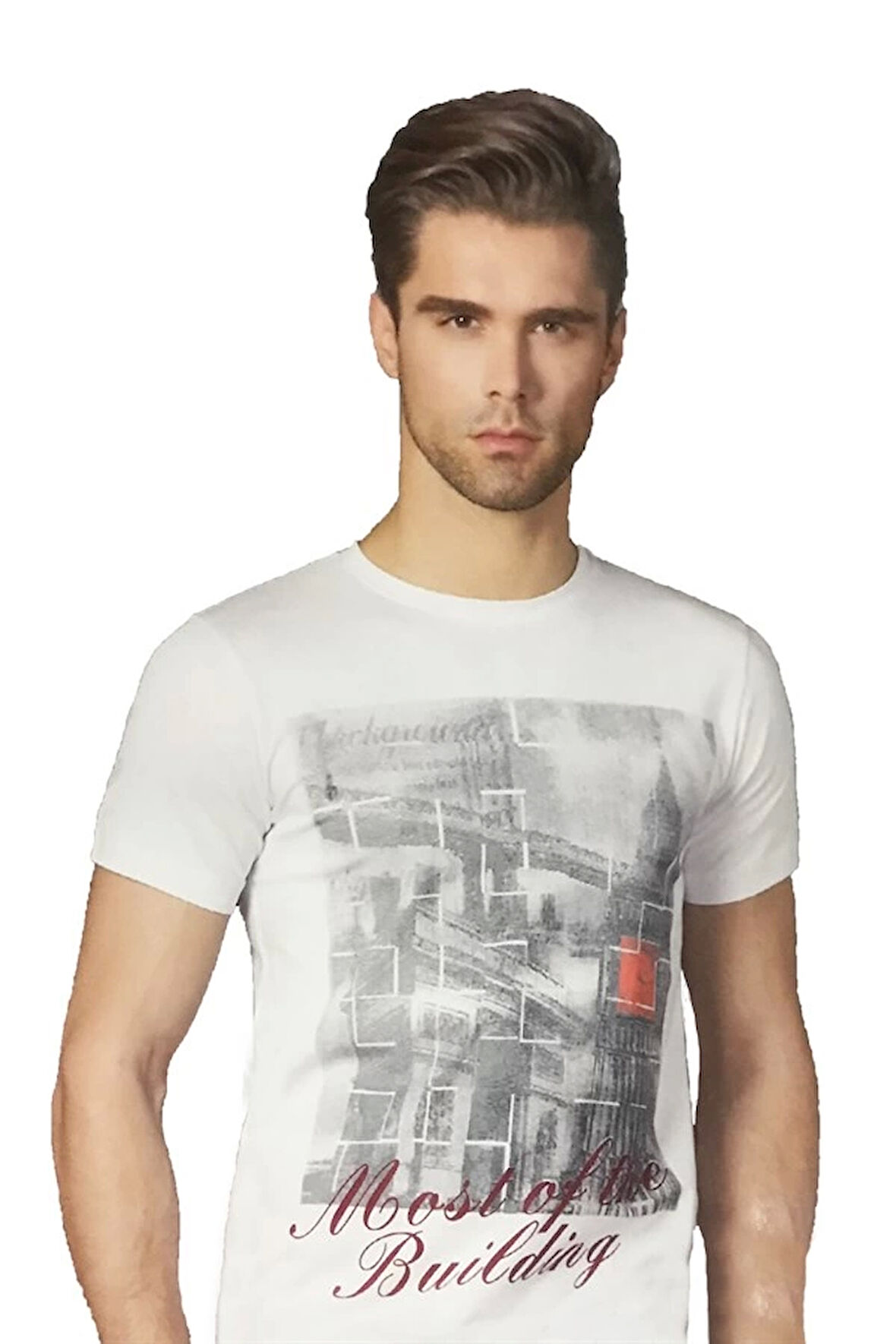 Berrak Erkek  Köprü Baskılı T-shirt 1047