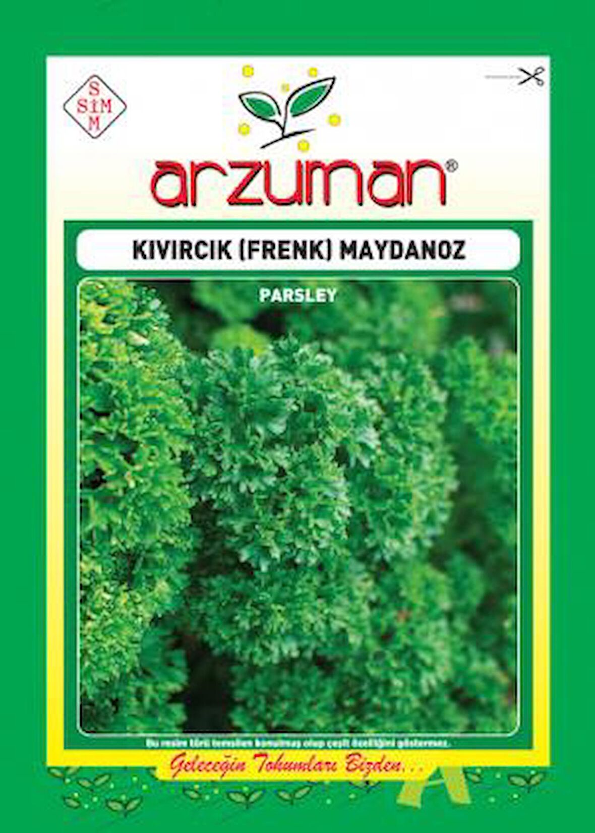 Kıvırcık (Frenk) Maydonoz Tohumu