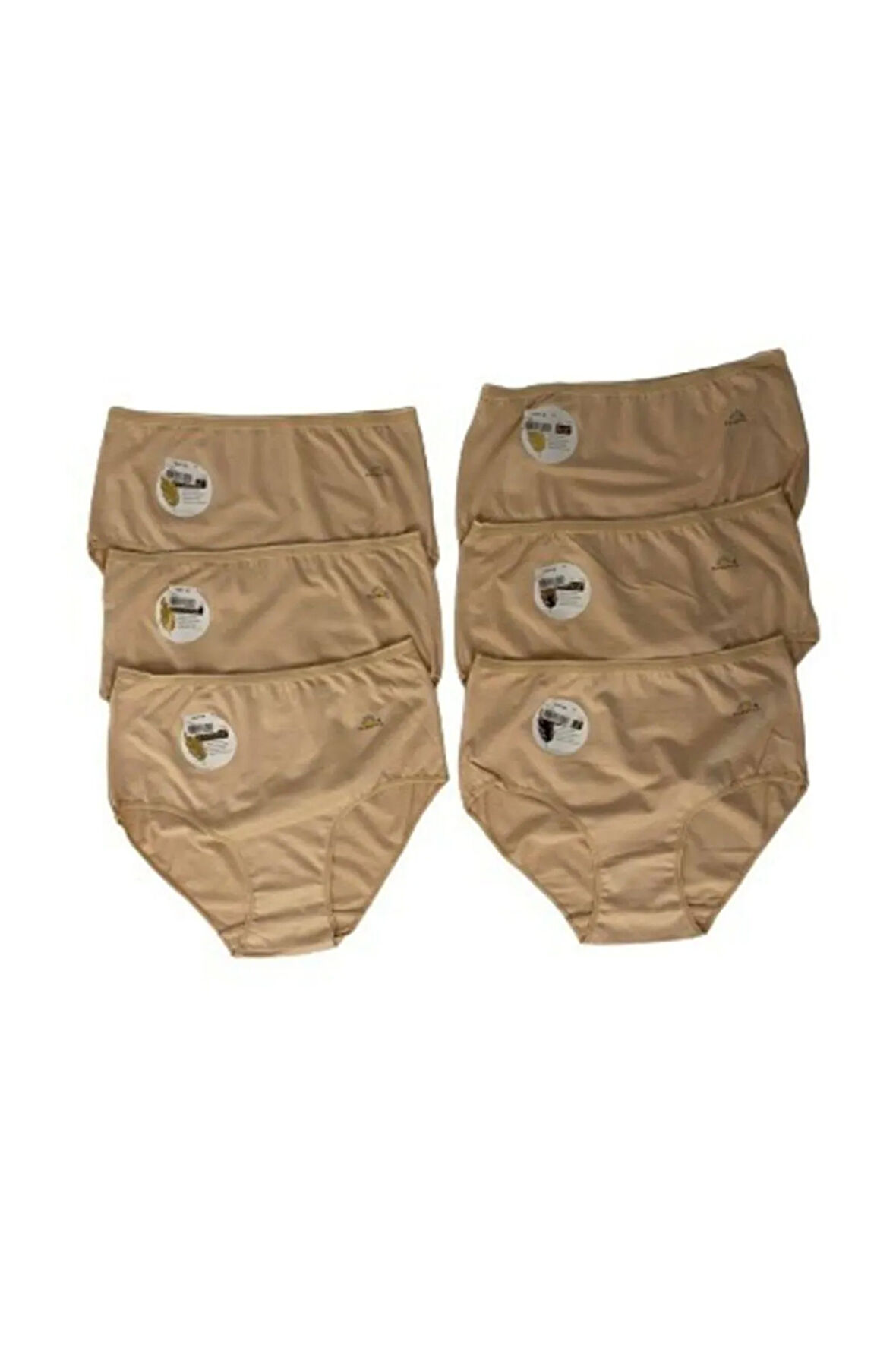 12 Adet Ten Rengi Modal Bato Külot