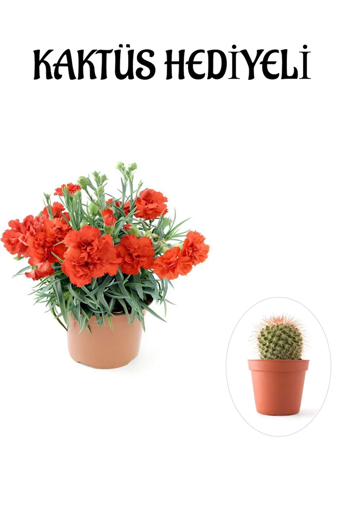 Kadınlar Gününe Özel Kırmızı Renk Kokulu Karanfil Çiçeği Buz Çiçeği Hediyeli