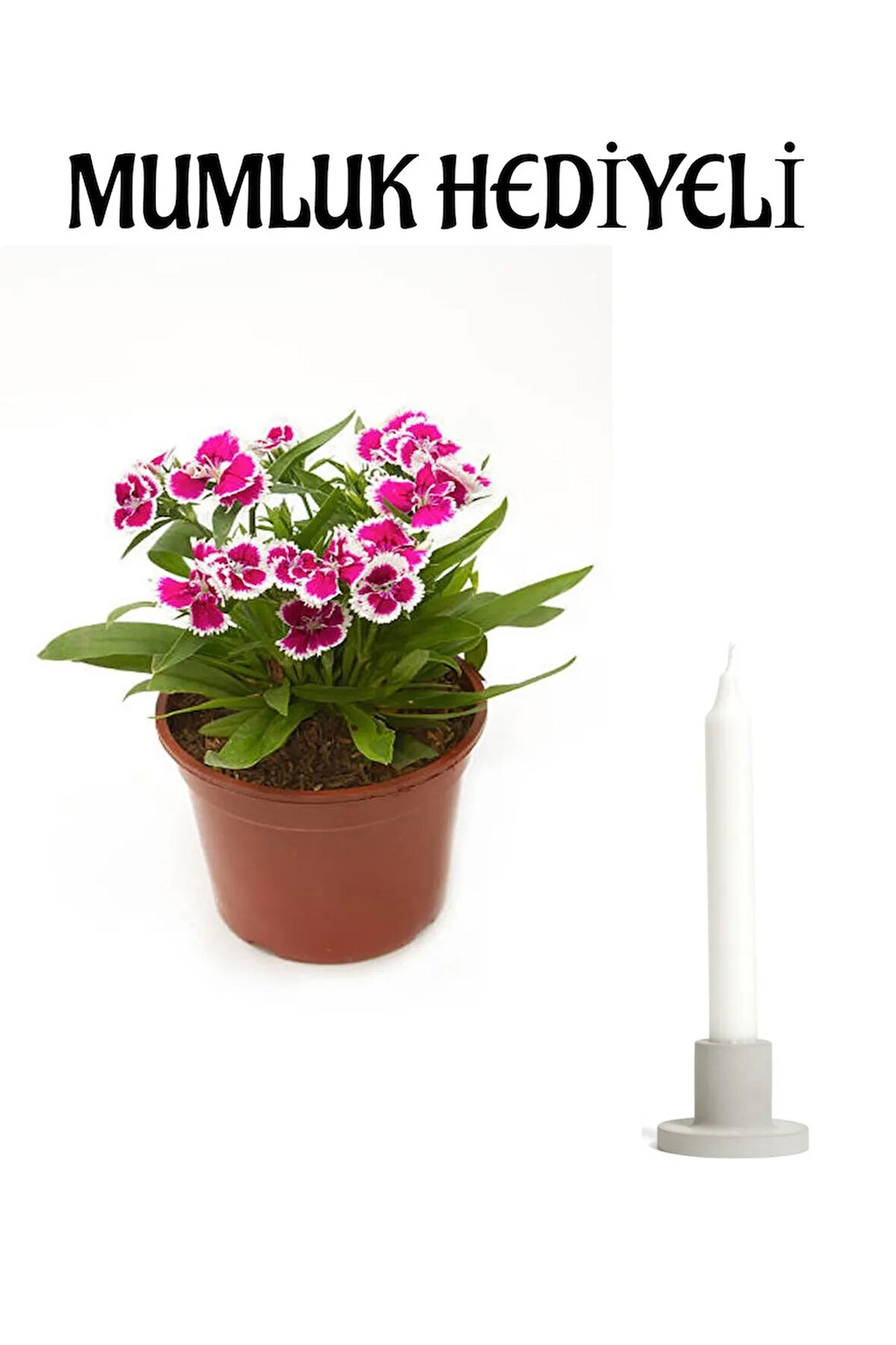 Hediyelik Pembe Çin Karanfili Çiçeği Sevgililer Gününe Özel Mumluk HEDİYELİ