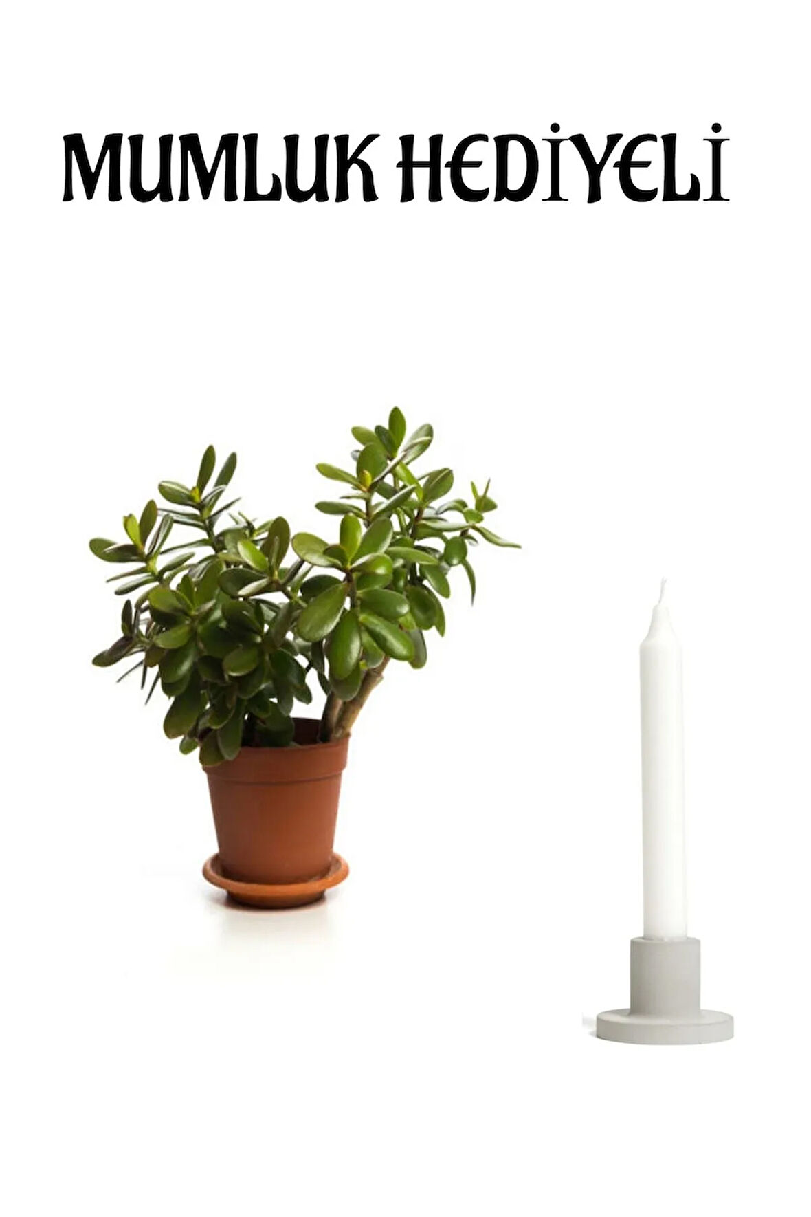 Anneler Gününe Özel Parlak Yapraklı Para Çiçeği Mumluk Hediyeli