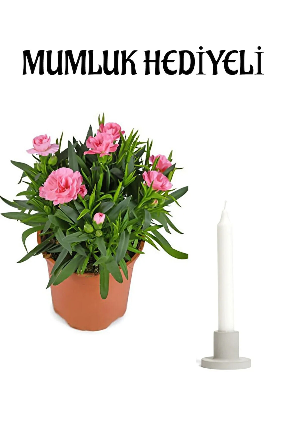 Hediyelik Mis Kokulu Pembe Karanfil Çiçeği Sevgililer Gününe Özel Mumluk HEDİYELİ
