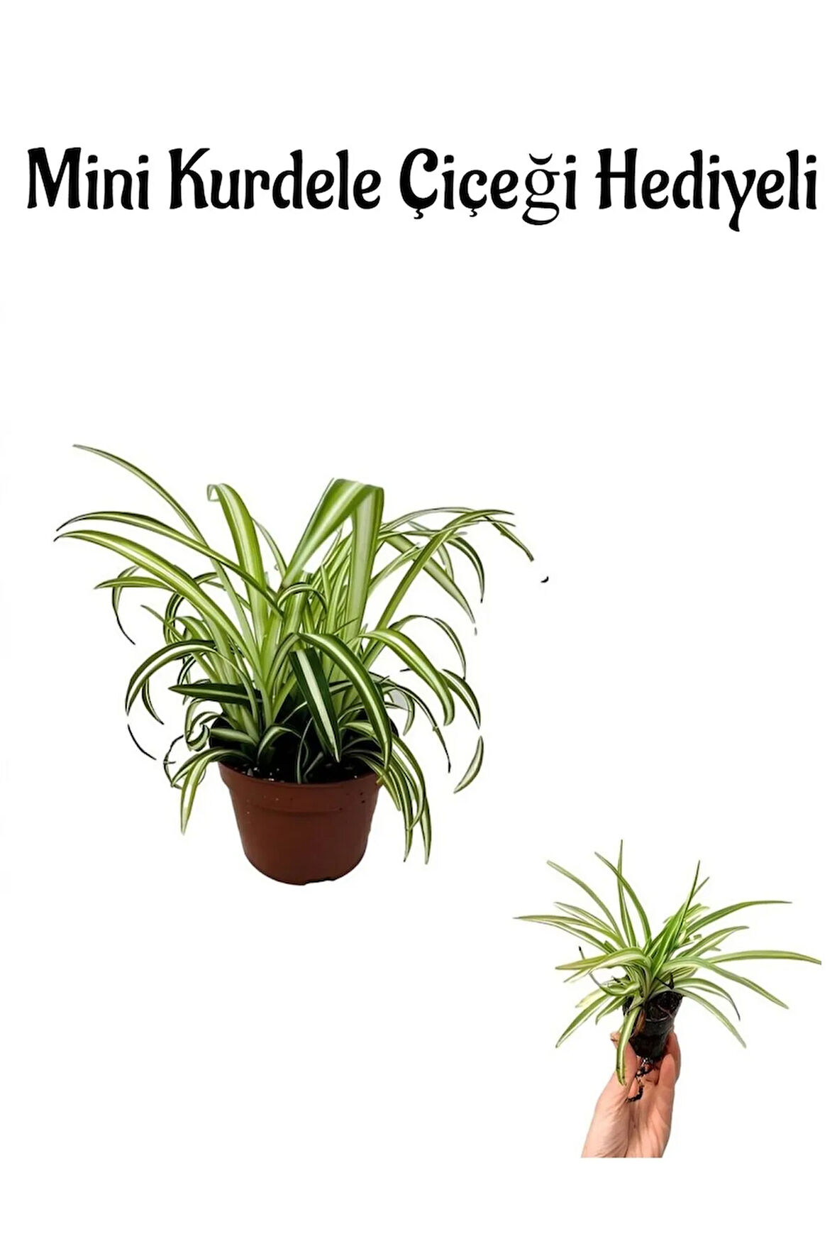 Hediyelik Kurdele Çiçeği Anneler Gününe Özel Mini Kurdele Çiçeği