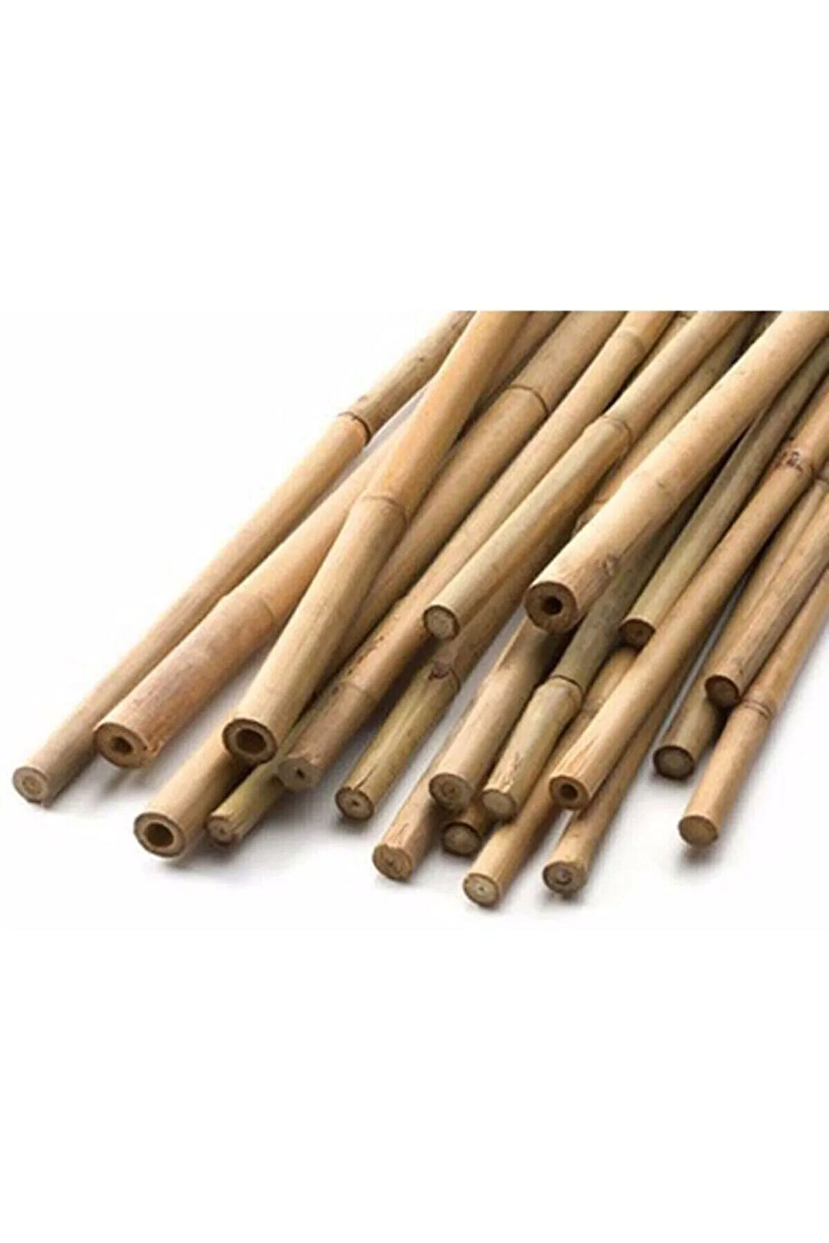 Bambu Bitki Destek Çubuğu 60cm 10'lu Set