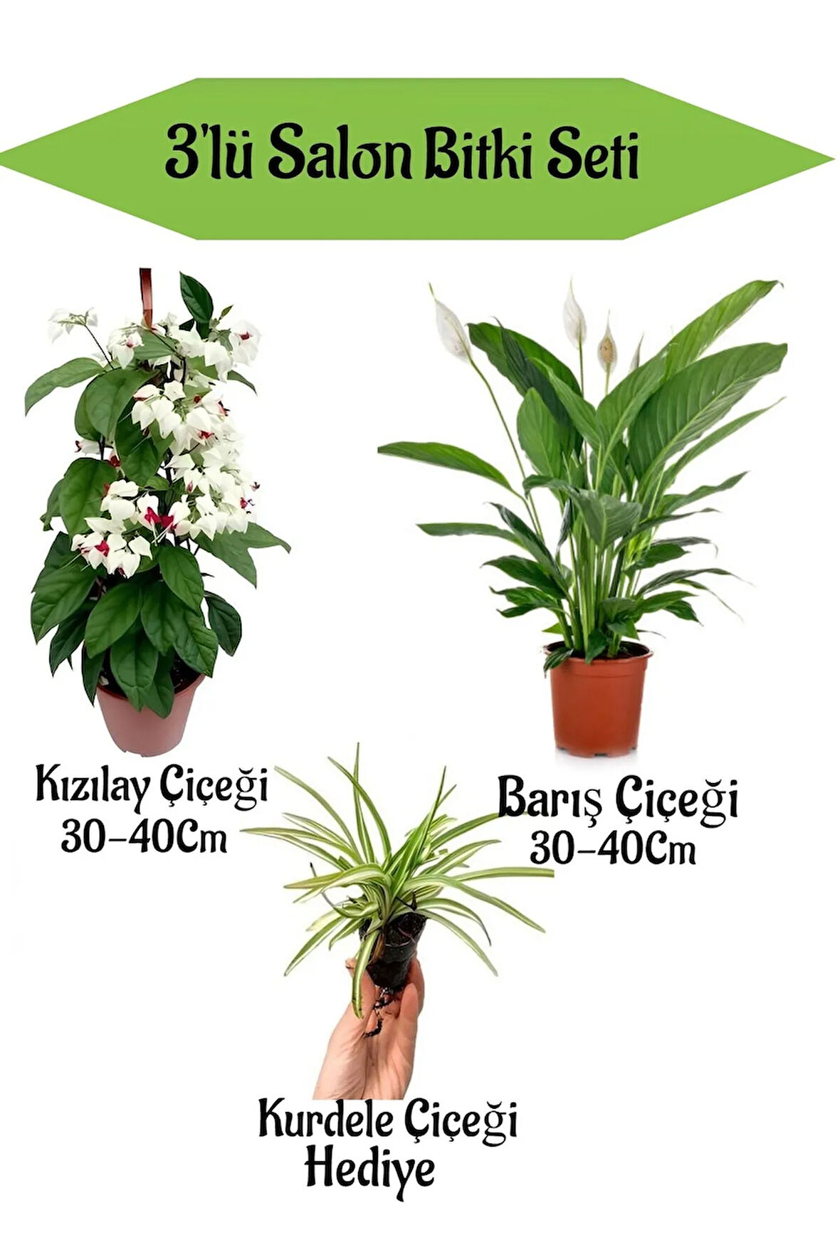 Kızılay Çiçeği+ Barış Çiçeği+ Hediyelik Mini Kurdele