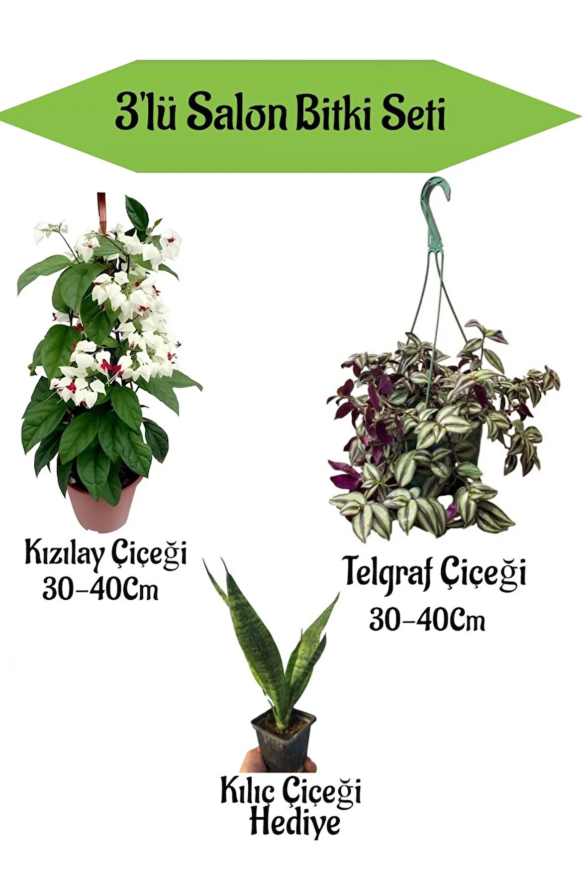 Kızılay Çiçeği+ Telgraf Çiçeği+ Hediyelik Kılıç Çiçeği