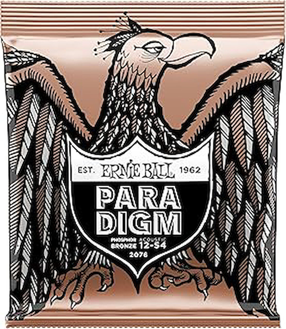 Ernie Ball Paradigma Orta Hafif Fosfor Bronz Akustik Gitar Enstrüman Telleri, Ölçü 12-54