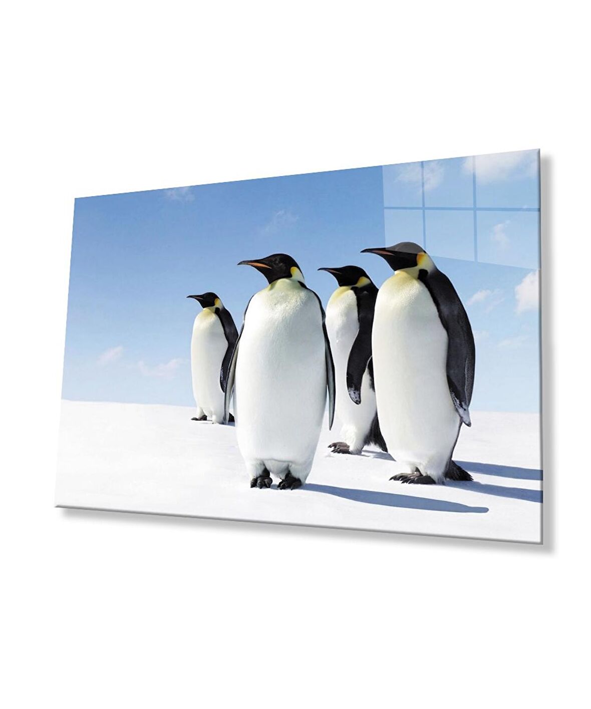 Penguen Hayvan Cam Tablo 4mm Dayanıklı Temperli Cam