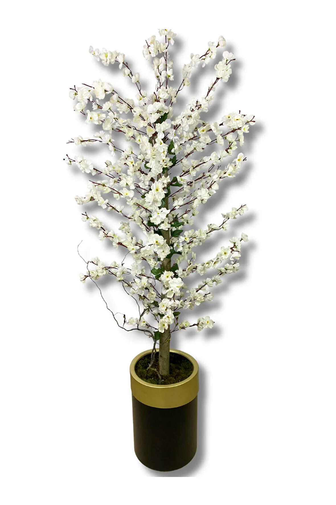 Beyaz Bahar Dalı 180 Cm 30x25 Gold Kemerli Siyah Saksı