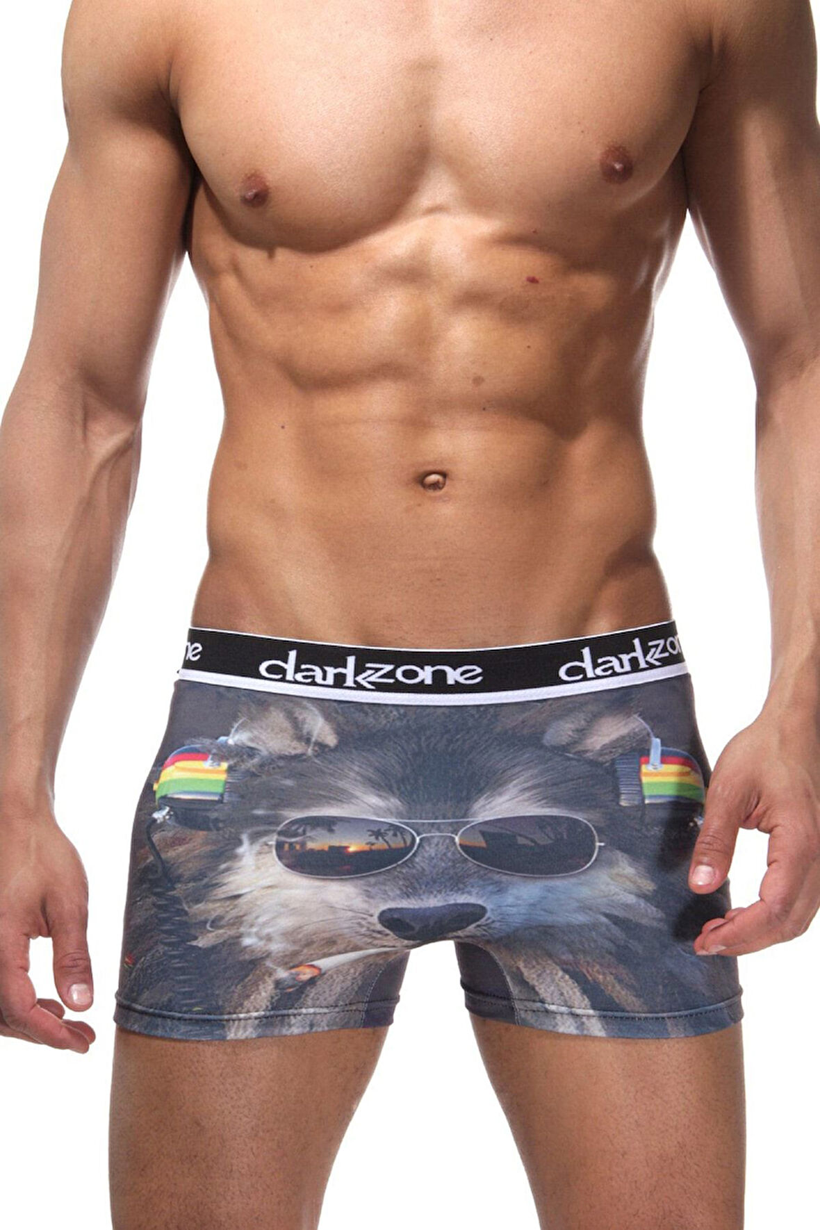 Komik Köpek  Desenli Erkek 3d Boxer 1091